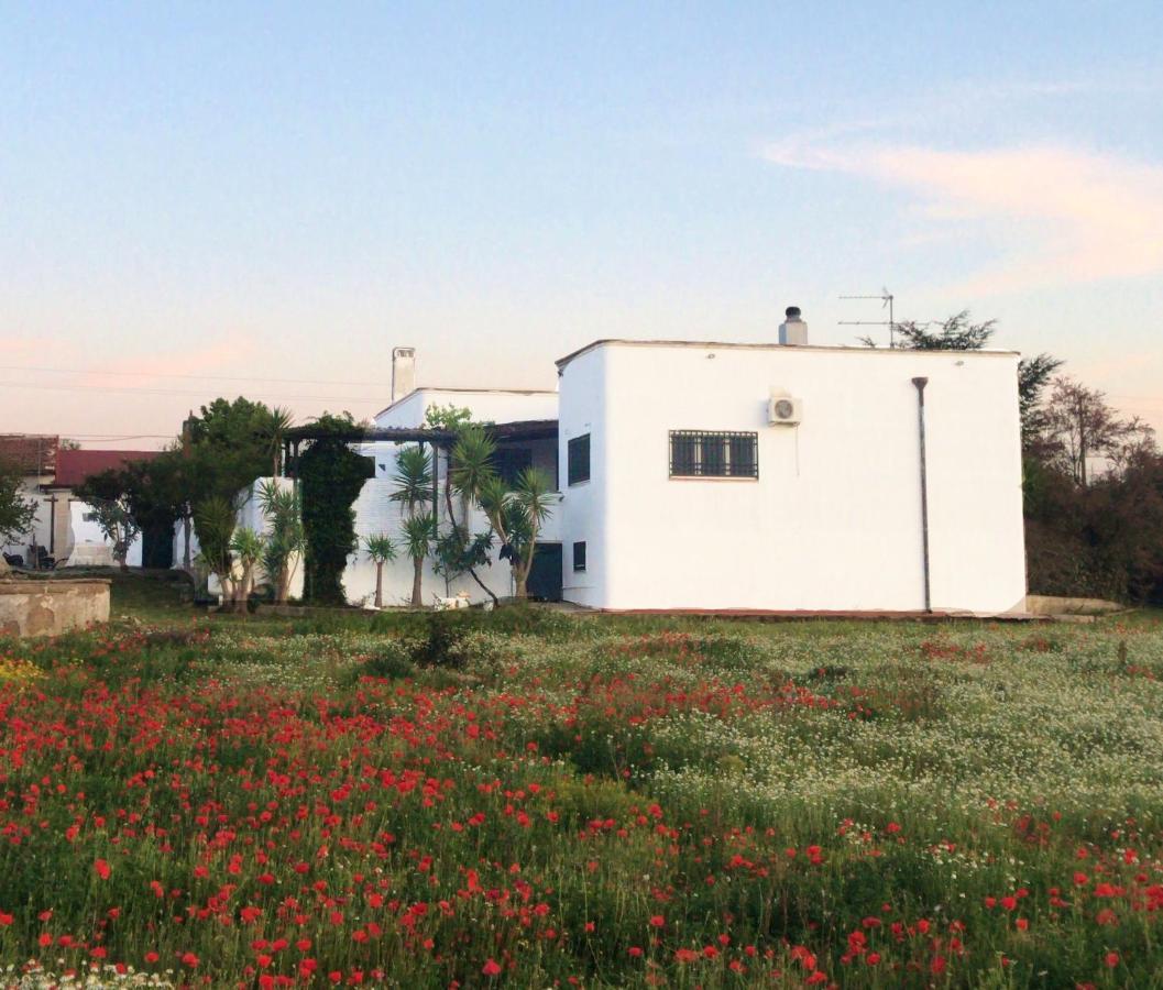 Villa Sara Di Puglia Кастеланета Екстериор снимка