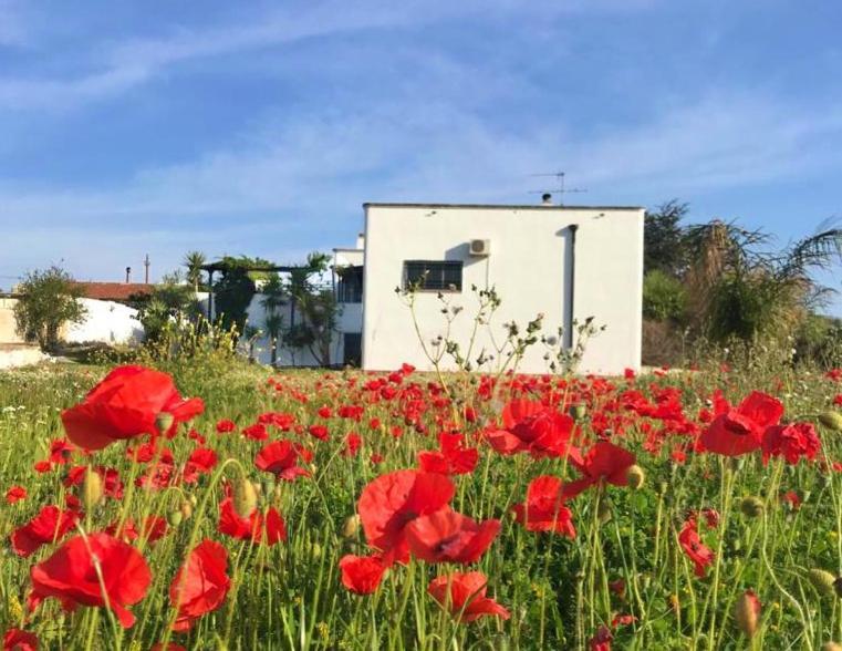 Villa Sara Di Puglia Кастеланета Екстериор снимка