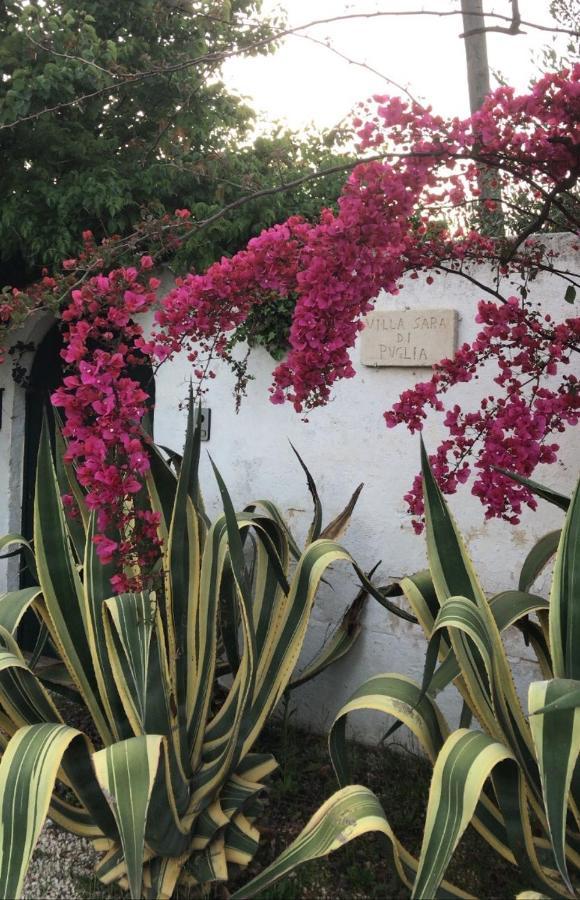 Villa Sara Di Puglia Кастеланета Екстериор снимка