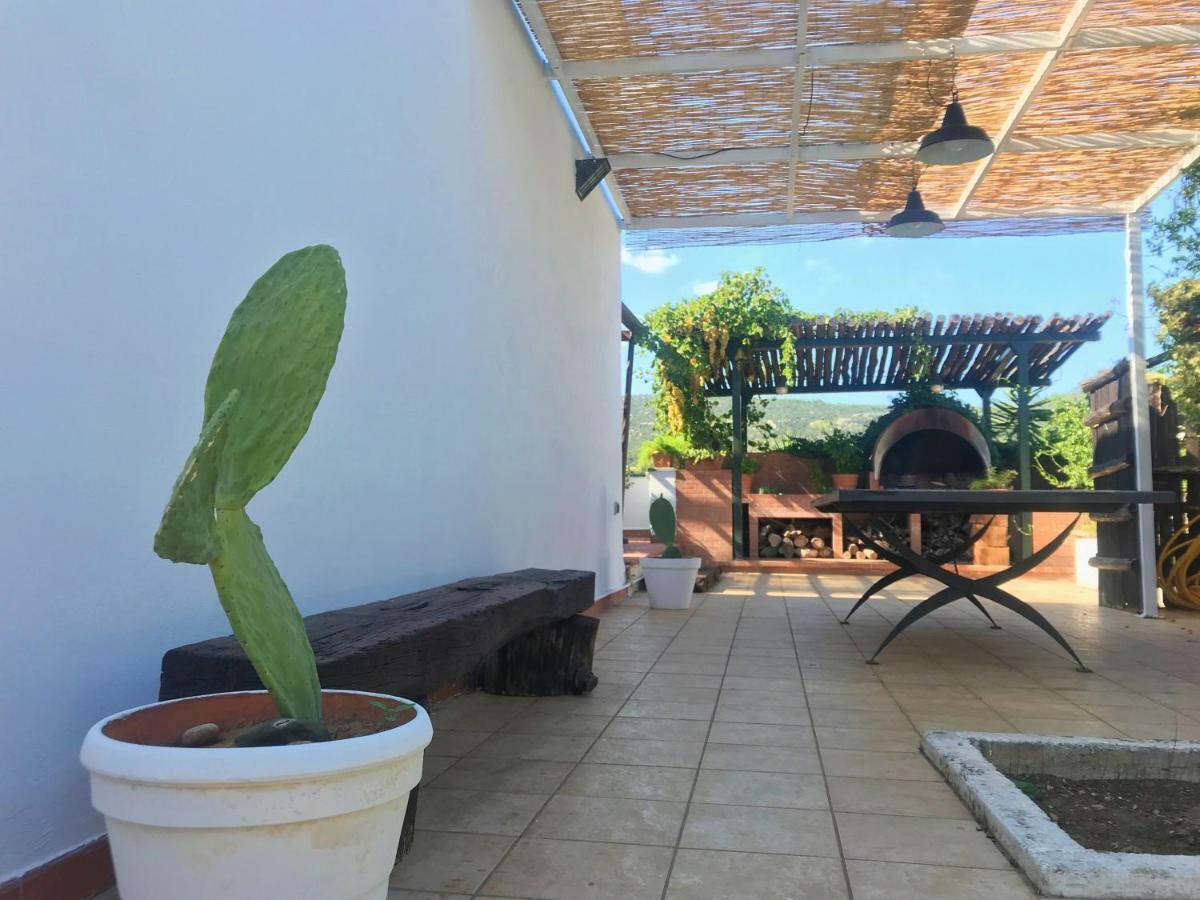 Villa Sara Di Puglia Кастеланета Екстериор снимка
