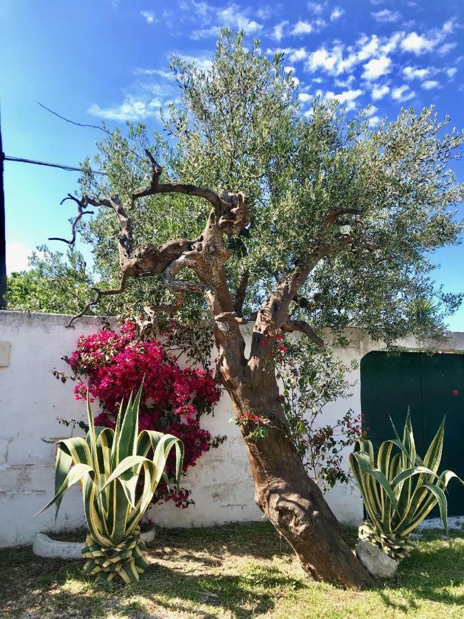 Villa Sara Di Puglia Кастеланета Екстериор снимка
